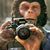 John Maddox's profile image