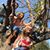 Liz Mcnicol Turner's profile image