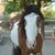 Shalimar Bland's profile image