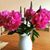Betty Moulton's profile image