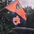 Allesha Irvin Schirmer's profile image