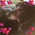 Heide Beutnagel-Santiago's profile image