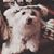 VM Matos's profile image