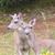 Nancy Riley's profile image