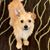 Cheryl Butisbauch Voss's profile image