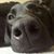 Patti Jo Imler's profile image