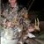 David Herold's profile image