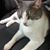 Christine Johnston's profile image