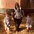 Amber M. Lee's profile image