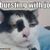 Brian Peyatt's profile image