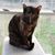 Joy Hruska's profile image