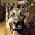 Tracy Rich's profile image