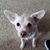Mindy Ford Allen's profile image