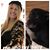 Sharon Chaloner's profile image