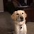 Chris Vodopich's profile image