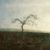 Alun Wyld's profile image