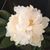 Eleanor Graham's profile image