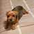 Sibyl Buffington's profile image