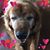 Tinne CP's profile image