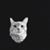 Wojtek Pawelski's profile image