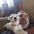 Robert Gregory's profile image