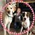 Vicki C Cunningham's profile image