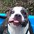 Kevin J Stehn's profile image