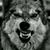 Michael Wendt's profile image