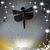 Karen Gall Black's profile image
