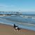 Dennis Greenlee's profile image