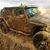 Tracy Wilson Deryckere's profile image