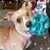 Kellie Hughes's profile image