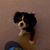 Judi Grove's profile image