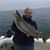 Lynn Glaser's profile image
