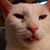 Bryan Hopkins's profile image