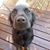 Ruth Cowden's profile image