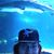 Brian Spurlock's profile image