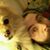 Mark Smith Sr.'s profile image