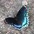 Sue Loesel Kuck's profile image