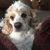 Gayle Morgal Erickson's profile image
