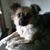 Donna Smith's profile image
