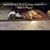 Melissa R. Schumacher's profile image