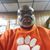 Chris Dinkins's profile image