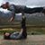 Scott D. Pollock's profile image
