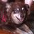 Jackie Urban's profile image