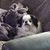 Mary Ann Grant's profile image