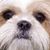 Jerry Dewey's profile image