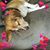 Nancy Speakman's profile image
