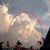 Linda Vibert's profile image