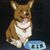 Einn Ogershok's profile image
